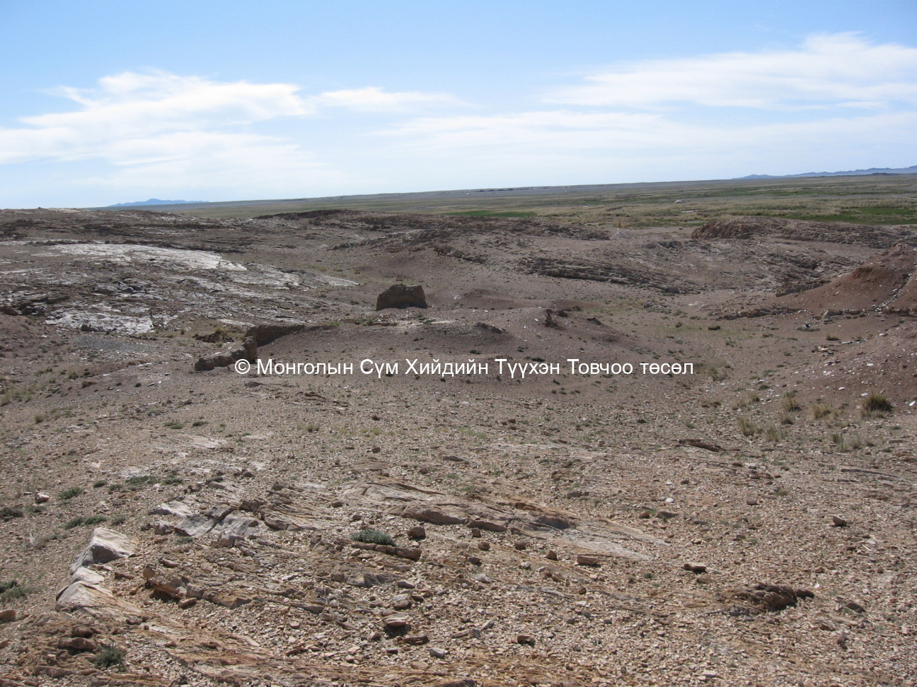 Үлдэгдэл туурь